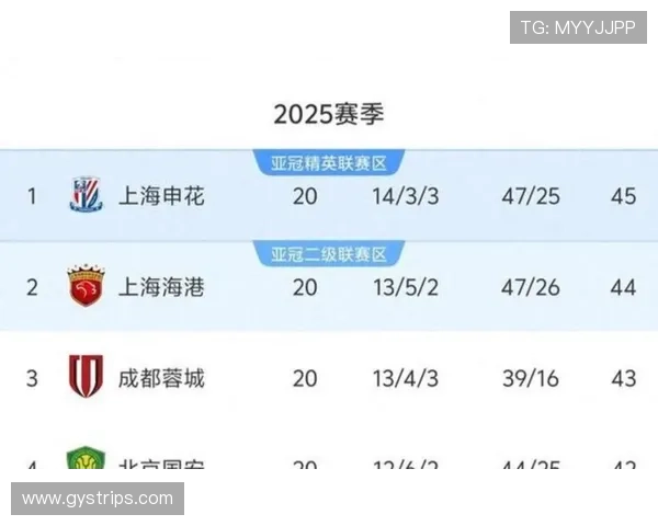 申花能否真正展现冠军气质?争冠形势下的气质考验与赛季走势分析 申花能否真正展现冠军气质?争冠形势下的气质考验与赛季走势分析
