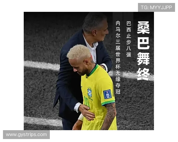 南非队冲击世界杯16强路线图出炉 南非队冲击世界杯16强路线图出炉
